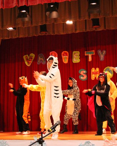 Christmas Variety Fundraising Show (2014)